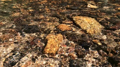 Static close up view of crystal clear tropical forest stream water small pebbles Video stock 122108837