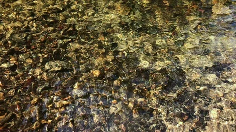 Static close up view of crystal clear tropical forest stream water small pebbles Stock Footage 122109142