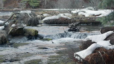 Static closeup detail of small waterfalls in river with wood, grasses and snow Stock Footage 170184622
