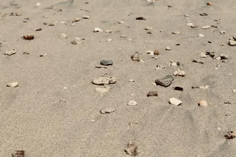 Static Closeup of Sandy Beach Surface with Shells and Pebbles Stock Photos