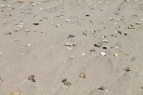 Static Closeup of Sandy Beach Surface with Shells and Pebbles Stock-Fotos