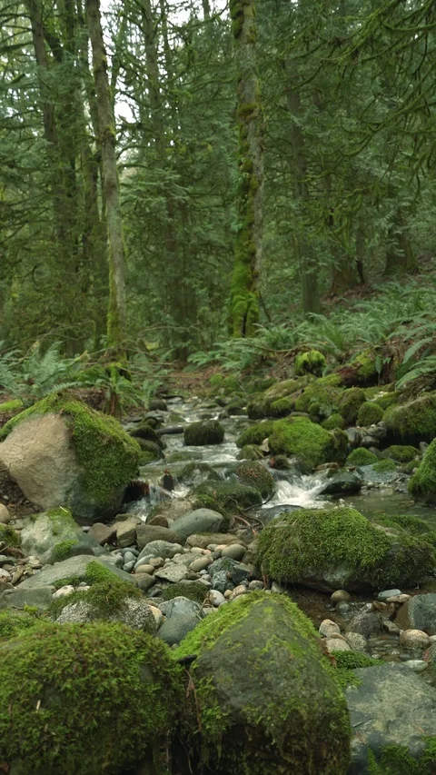 Static Coal Creek 30sec 10 Video stock 129394358