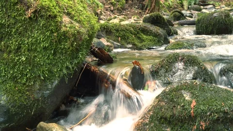 Static Coal Creek 30Sec 12 Video stock 129394177