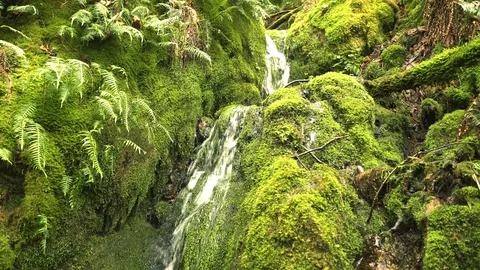 Static Coal Creek 30Sec 2 動画素材 129393936