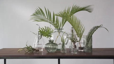 Static Collection of Plants on a table in the wind wide Stock Footage 103852944