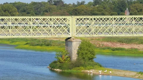 A static daytime shot of a pale green iron bridge spanning the Loire River in Stock Footage 346714173