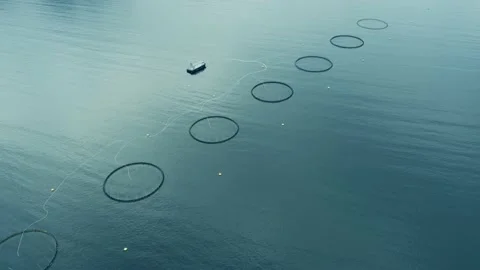 Static drone shot of salmon aqua farm in Norway Stock-Footage 139477688