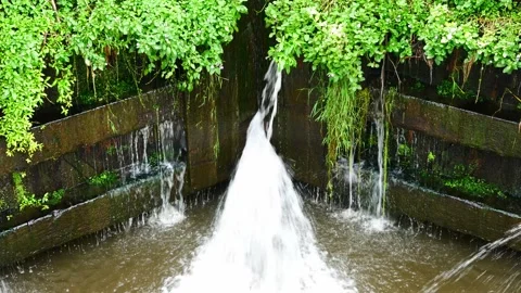 @Anattraction Leaked Stock Footage ~ Royalty Free Stock Videos | Pond5