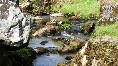 Static establishing shot of a small mountain stream flowing over rocks Stock Footage 140736802