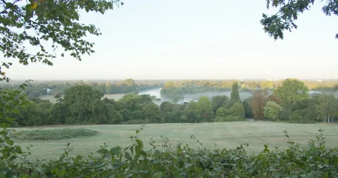 Static extreme long shot of misty Thames river framed by green-leafed branches Stock-Footage 150370972