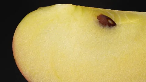 Static Extreme Macro Of Apple Flesh Texture With Seed Black Background 4K Stock Footage 321867979