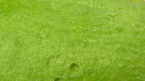 Static Extreme Macro Of Avocado Green Skin And Flesh Texture 4K Stock Footage 322086997