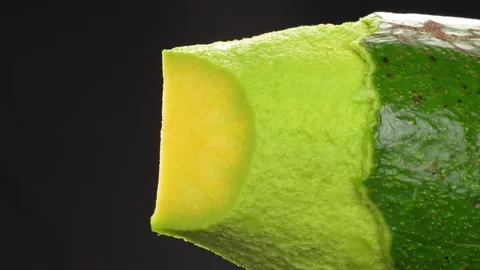 Static Extreme Macro Of Avocado Skin And Flesh Texture Black Background 4K Stock Footage 322087340