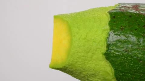 Static Extreme Macro Of Avocado Skin And Flesh Texture White Background 4K Stock Footage 322087809
