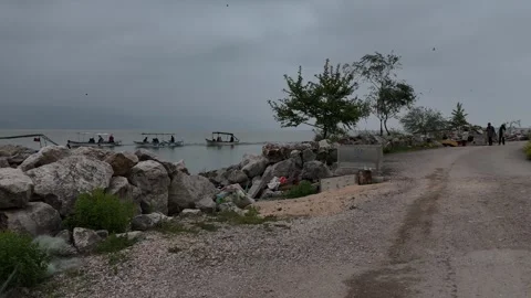 Static Eye-Level View of Dirt Road Stock Footage 314521791