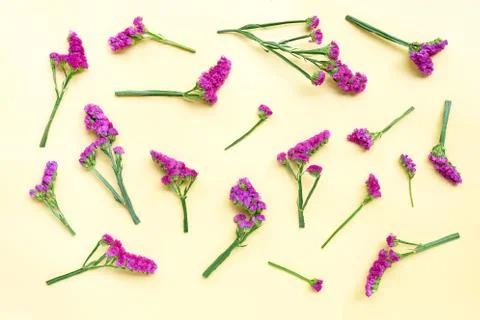 Static flowers on yellow background. Stock Photos