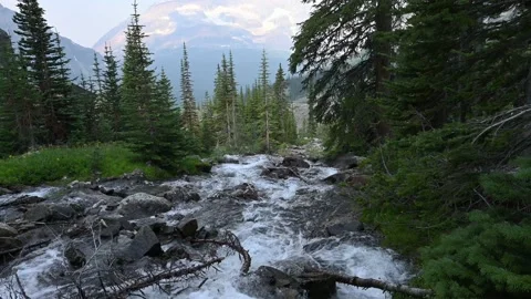 Static footage looking down a mountain stream that is tumbling over rocks Stock Footage 220083190