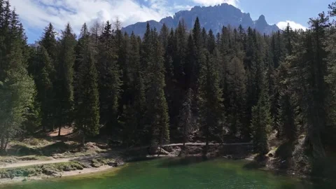 Static Frame of Dense Alpine Pine Trees and Mountain Tops Vídeos de archivo 341547462