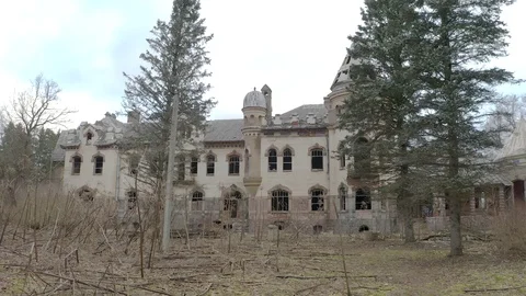 Static frame on a destroyed building, near tree Stock Footage 126699234