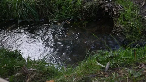 Static frame of nature background with water stream moving Stock Footage 151118321
