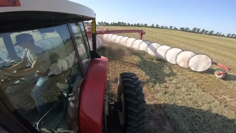 Static GoPro - Rake, Raking up Alfalfa (2) Stock Footage 221861693