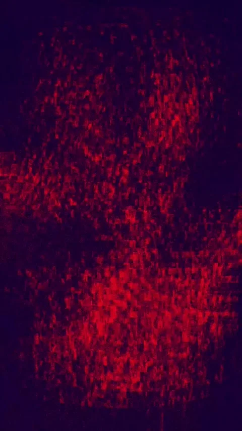 Static Grain Visual Effect Portrait Stock Footage 331076718