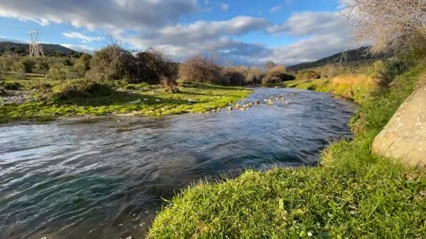 Static, ground-level footage of a stream at sunset 스톡 동영상 293210321