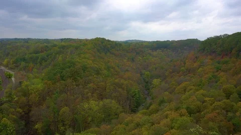 Static handheld shot of huge epic seasonal forrest seen from Dundas Peak Stock Footage 82095509