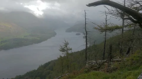 Static handheld view down valley with winding lake, wind & dead trees foreground Stock Footage