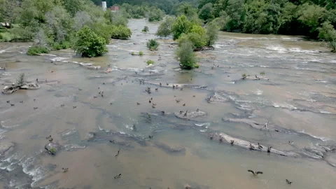 Static high view of Canada geese on a river 스톡 동영상 246772807