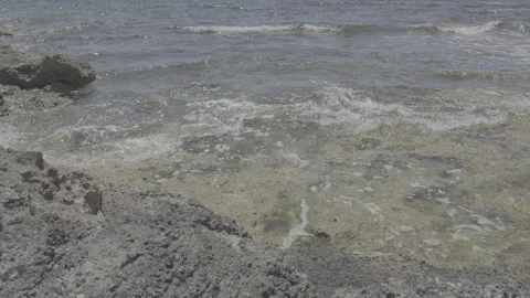 Static horizont shot of raw log footage of rocky coastline and sea in paphos cyp Stock Footage 336636587