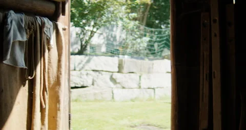 Static Interior View: Looking Out from Rustic Shed to Stone Wall Stock Footage 334841449