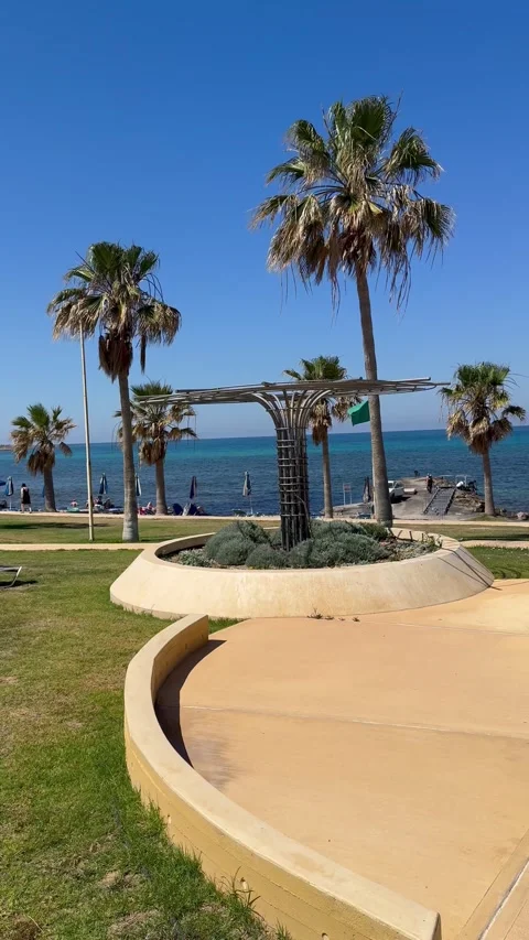 Static landscape view of a white concrete walking path and green palm trees Stock Footage 336219123