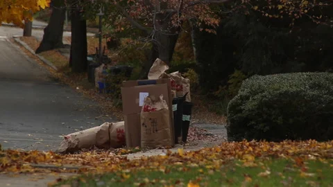 STATIC LEAF RECYCLING 스톡 동영상 194575486