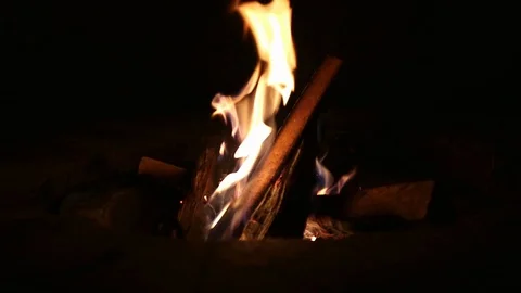Static Log Fire at night Stock Footage 113190003