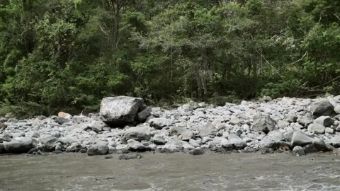 Static long shot of murky river, big rocks on bank and forest  Stock Footage 153802395
