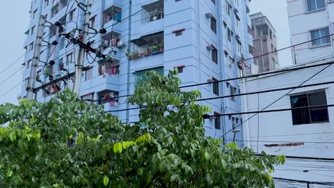Static low angle shot of green tree leaves moving in the wind in front of a.. Stock-Footage 337583683