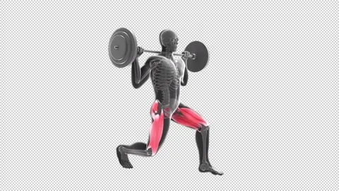 Static Lunges with Barbell Stock-Footage 155358608