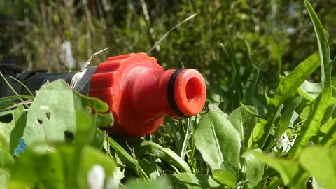Static macro shot of red garden hose connector in grass video Stock Footage 340392252