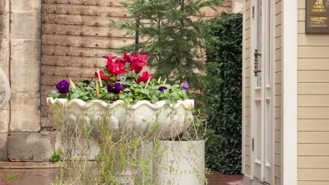 Static medium shot of a decorative marble flower planter brimming Vídeos de archivo 340155112