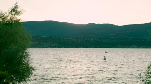 Static Medium Shot of Kayaking on Calm Waters Stock Footage 280207335
