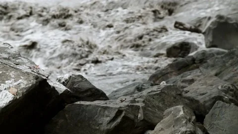 Static medium shot of rocks on river bank and river rapids  Stock Footage 153802186