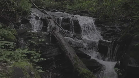 Static medium shot of a waterfall over rocks in a forest Video stock 133086764