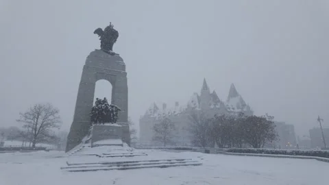 Static The National War Memorial During Blizzard Stock Footage 325784069