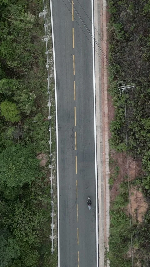 Static overhead shot of the road that runs between the trees and vegetation in Stock Footage 278240856