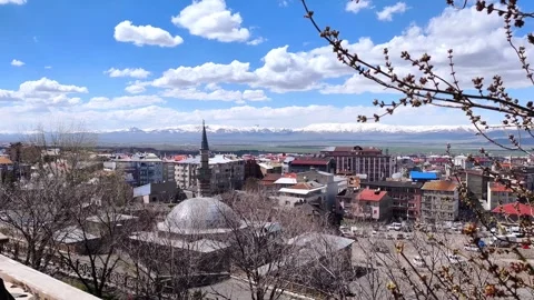 Static panoramic view of Erzurum featuring a central mosque dome and minaret Vídeos de archivo 334308612