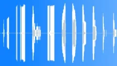 Static Radio Glitches 08 Sound Effect