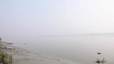 Static realtime shot of Ichamati River flowing towards Kalindi river Stock Footage 170414867