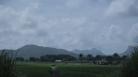 Static of road and sugar cane fields with plane flying over Stock Footage 64596398