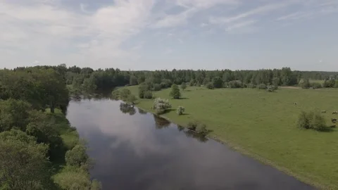 Static scene of a calm river flowing through meadows and forests in summer day Video stock 159982434